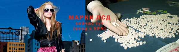 ALPHA PVP Баксан